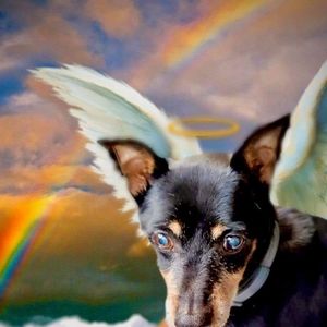 Meet your Posher, Marianne